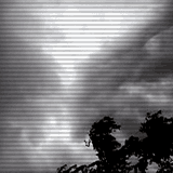 ACDSee-9